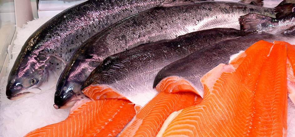 Seafood wholesale business plan